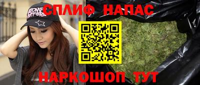 гашик Ипатово