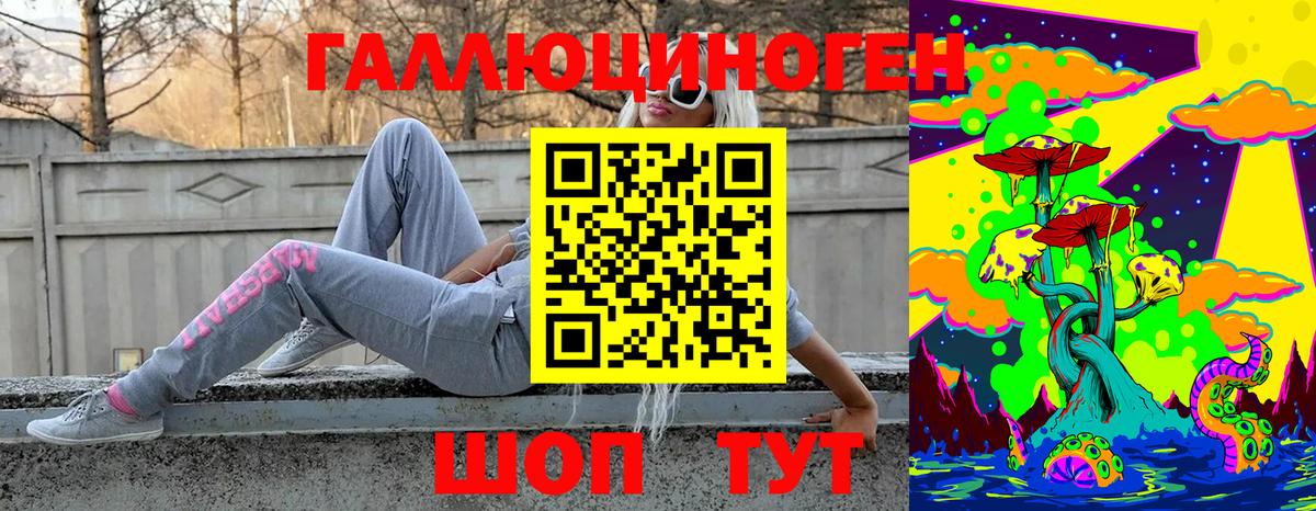 Галлюциногенные грибы Psilocybe  Унеча 