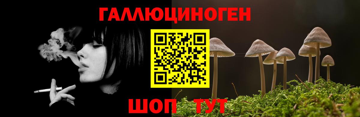 Псилоцибиновые грибы прущие грибы  Вход с VPN  купить закладку  Унеча 